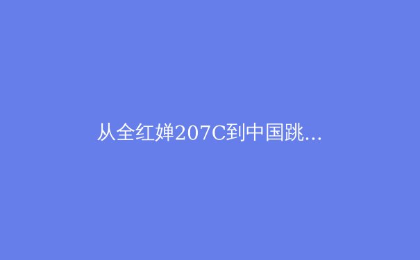从全红婵207C到中国跳水队巴黎奥运布局：技术迭代背后的竞技哲学 - 2